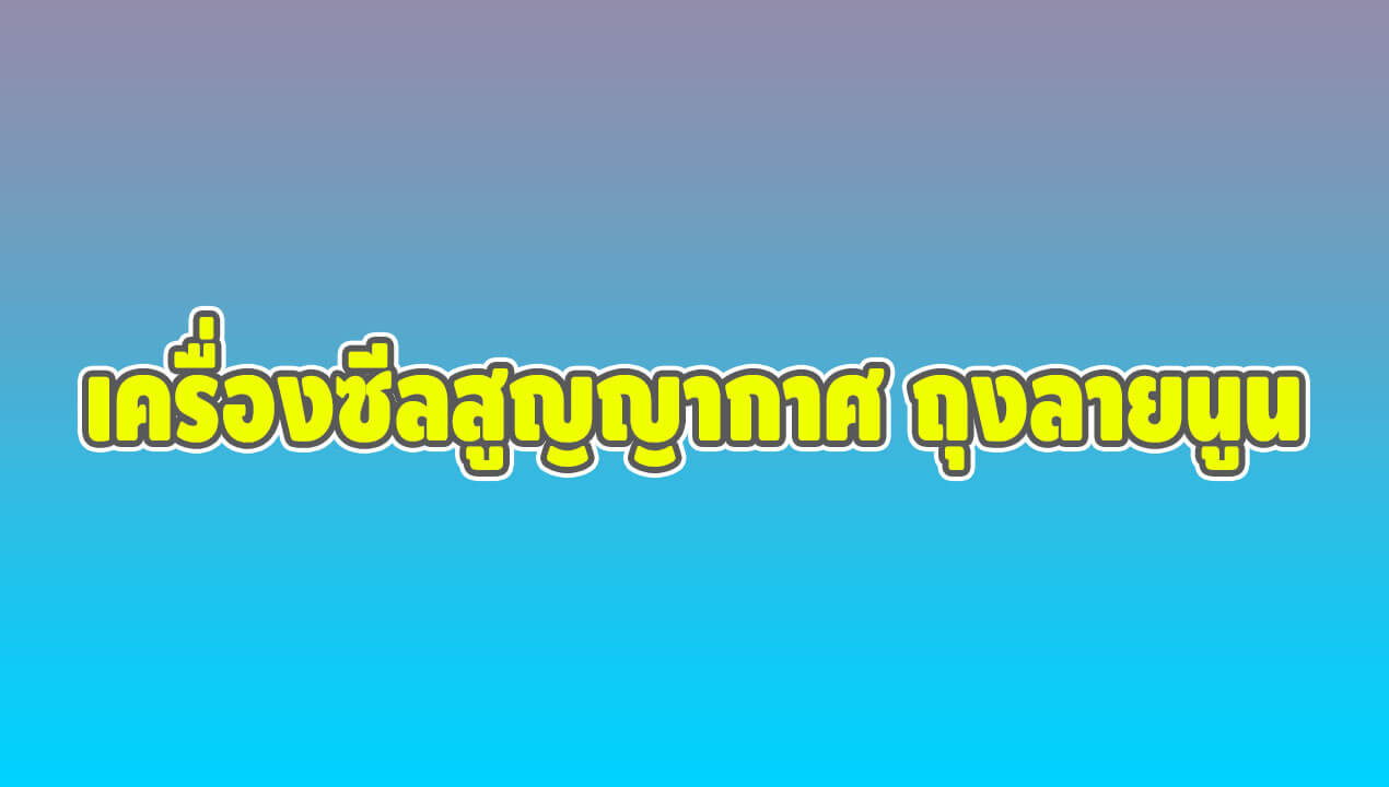 ถุงแวคคั่ม
